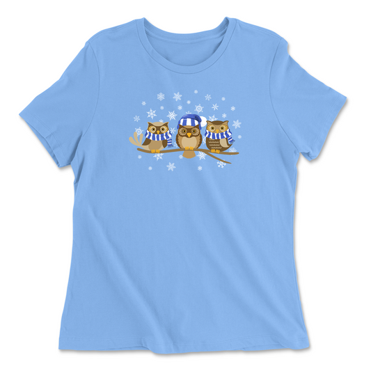 Womens 2X-Large CAROLINA_BLUE Relaxed Jersey T-Shirt