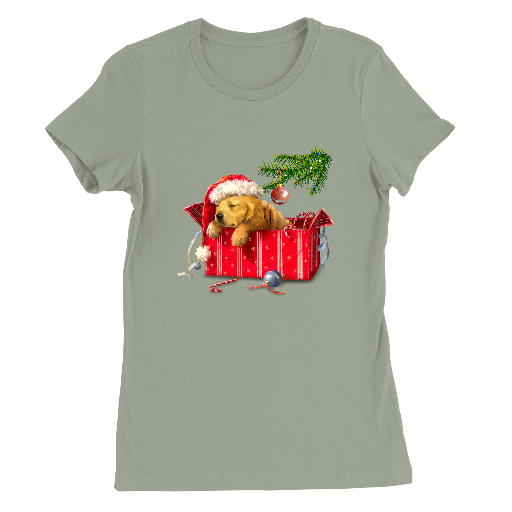 Womens Small Sage Style_T-Shirt