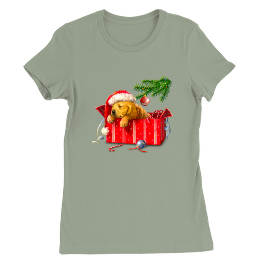 Womens Small Sage Style_T-Shirt