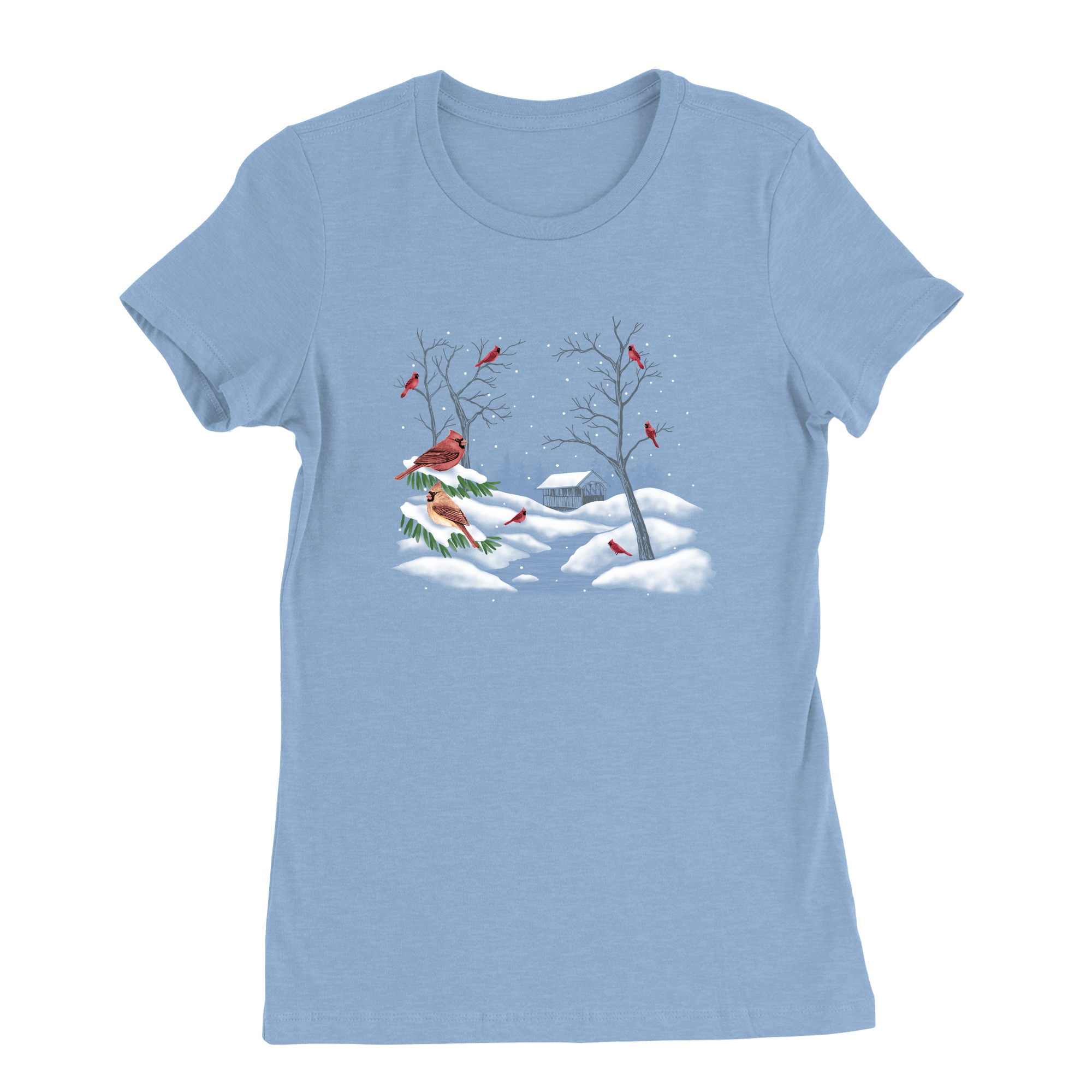 Womens Small Carolina Blue Style_T-Shirt